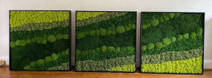 Moss Wall Art | Preserved Moss Framed | Large Moss Wall Decor | Pole, Sheet & Reindeer Moss |
