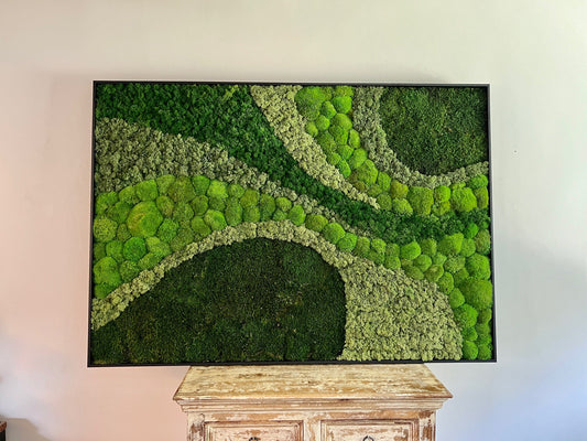 Moss Wall Art | Preserved Moss Framed | Large Moss Wall Decor | Pole, Sheet & Reindeer Moss | Only Available for delivery - TORONTO AND GTA