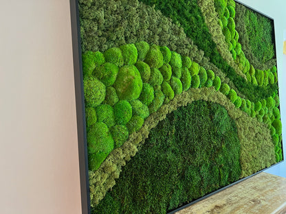 Moss Wall Art | Preserved Moss Framed | Large Moss Wall Decor | Pole, Sheet & Reindeer Moss | Only Available for delivery - TORONTO AND GTA