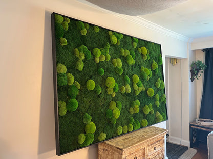 Moss Wall Art | Preserved Moss Framed | Large Moss Wall Decor | Pole and Sheet Moss | Only Available for delivery - TORONTO AND GTA