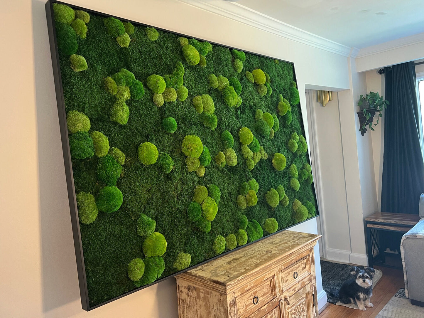 Moss Wall Art | Preserved Moss Framed | Large Moss Wall Decor | Pole and Sheet Moss | Only Available for delivery - TORONTO AND GTA