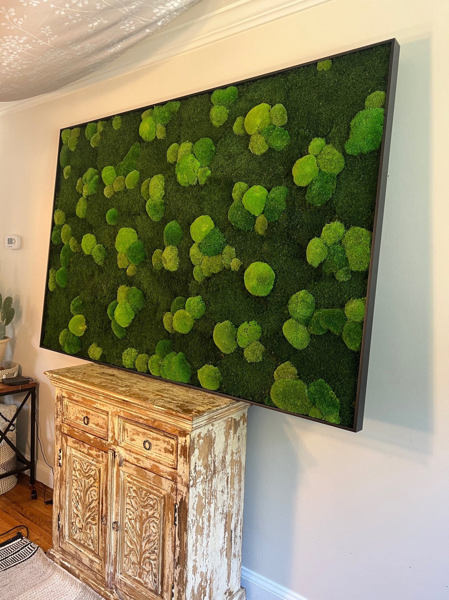 Preserved Reindeer Moss Wall Art: Framed Natural Home Decor | USA - TARIFF FREE
