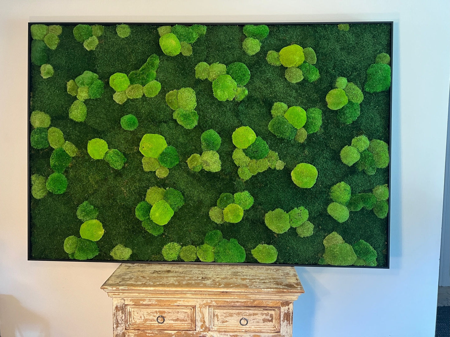 Preserved Reindeer Moss Wall Art: Framed Natural Home Decor | USA - TARIFF FREE