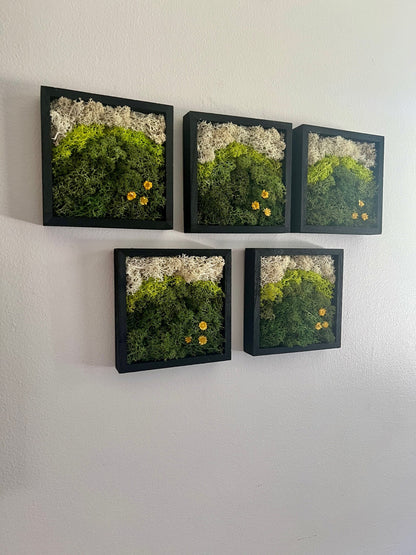 Moss Wall Art | Preserved Moss Art Framed | Square Wood Shadowbox | Set of One to Six | Green Yellow and White Reindeer Moss