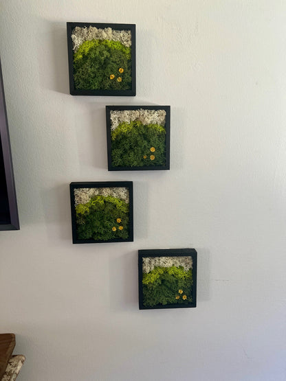 Moss Wall Art | Preserved Moss Art Framed | Square Wood Shadowbox | Set of One to Six | Green Yellow and White Reindeer Moss
