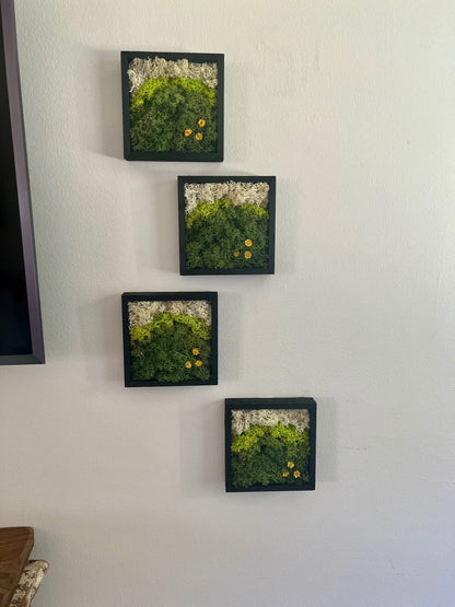 Preserved Reindeer Moss Wall Art: Square Wood Shadowbox Set | USA - TARIFF FREE