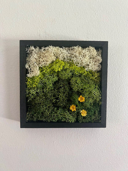 Preserved Reindeer Moss Wall Art: Square Wood Shadowbox Set | USA - TARIFF FREE