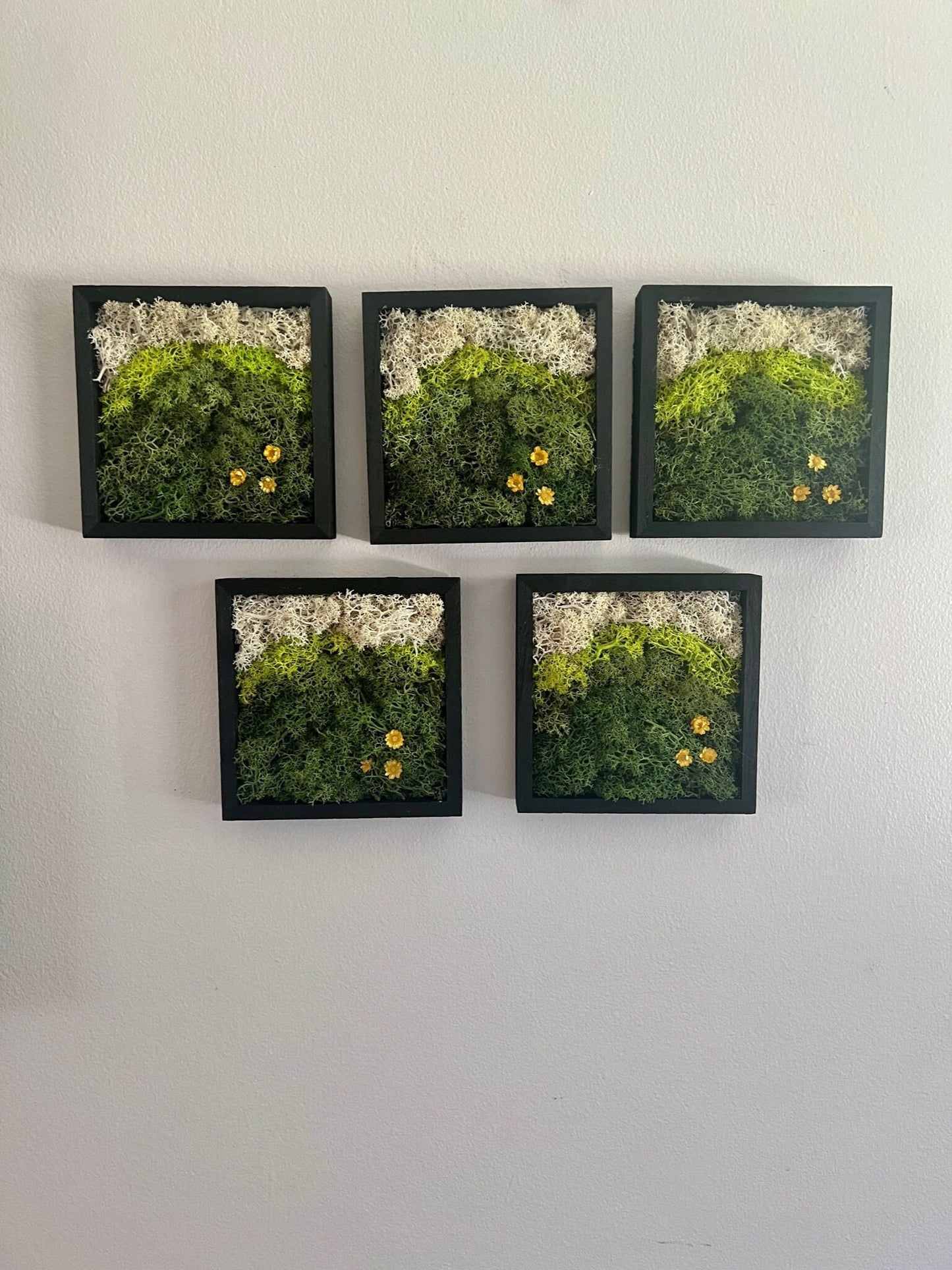 Moss Wall Art | Preserved Moss Art Framed | Square Wood Shadowbox | Set of One to Six | Green Yellow and White Reindeer Moss