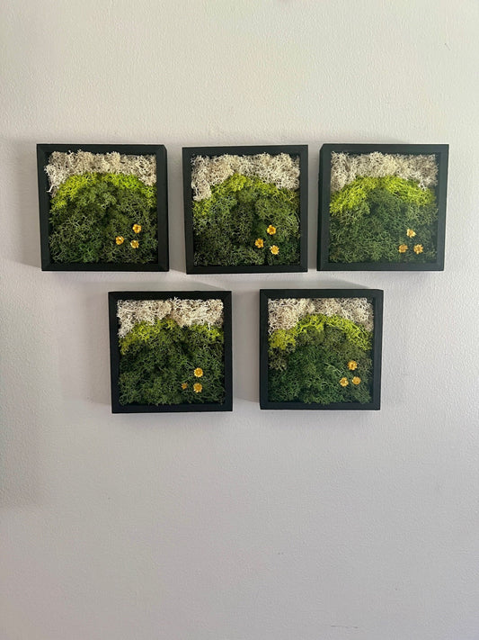Moss Wall Art | Preserved Moss Art Framed | Square Wood Shadowbox | Set of One to Six | Green Yellow and White Reindeer Moss