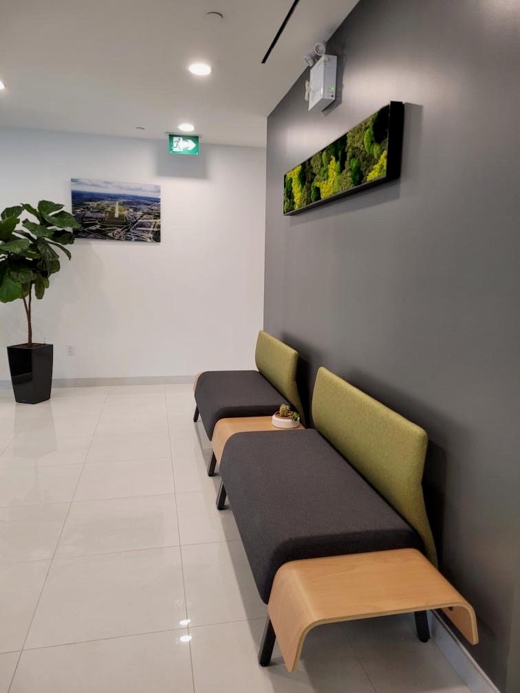 Framed Reindeer Moss Wall Art: Preserved Greenery Decor | USA - TARIFF FREE