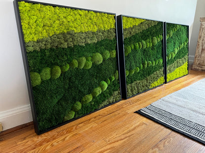 Moss Wall Art | Preserved Moss Framed | Large Moss Wall Decor | Pole, Sheet & Reindeer Moss |