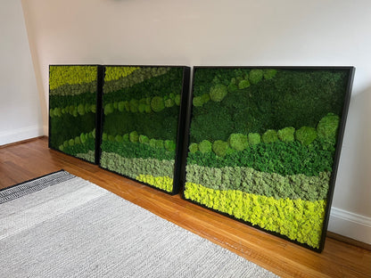 Large Preserved Moss Wall Art: Reindeer, Sheet & Pole Moss | USA - TARIFF FREE