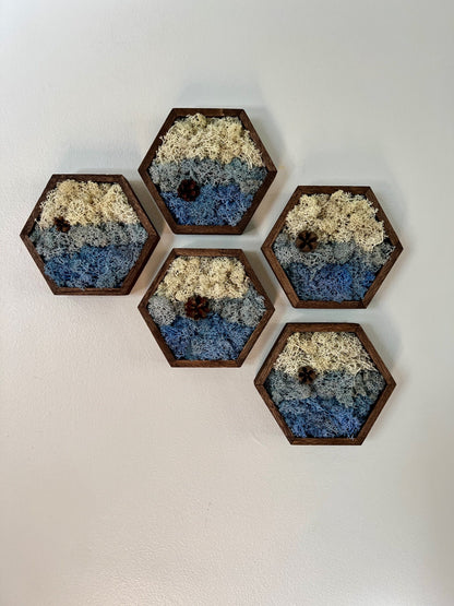 Preserved Reindeer Moss Wall Art: Wood Hexagon Trio | USA - TARIFF FREE