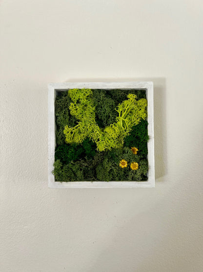 Preserved Reindeer Moss Wall Art: Wood Frame, Natural Home Decor | USA - TARIFF FREE