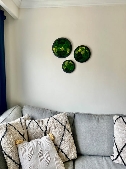 Preserved Reindeer Moss Wall Art: Framed Circle Set | USA - TARIFF FREE
