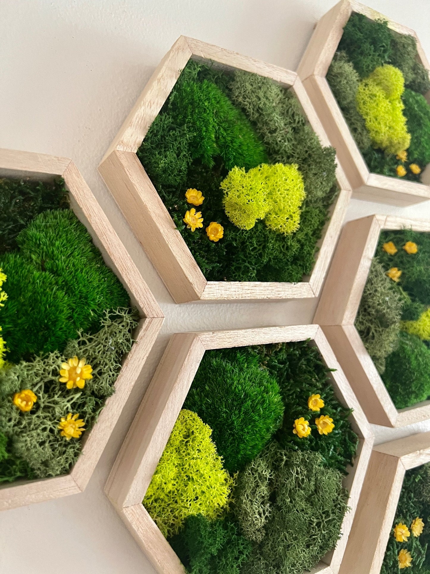 Honeycomb Moss Wall Art: Wood Hexagon with Preserved Flowers | USA - TARIFF FREE
