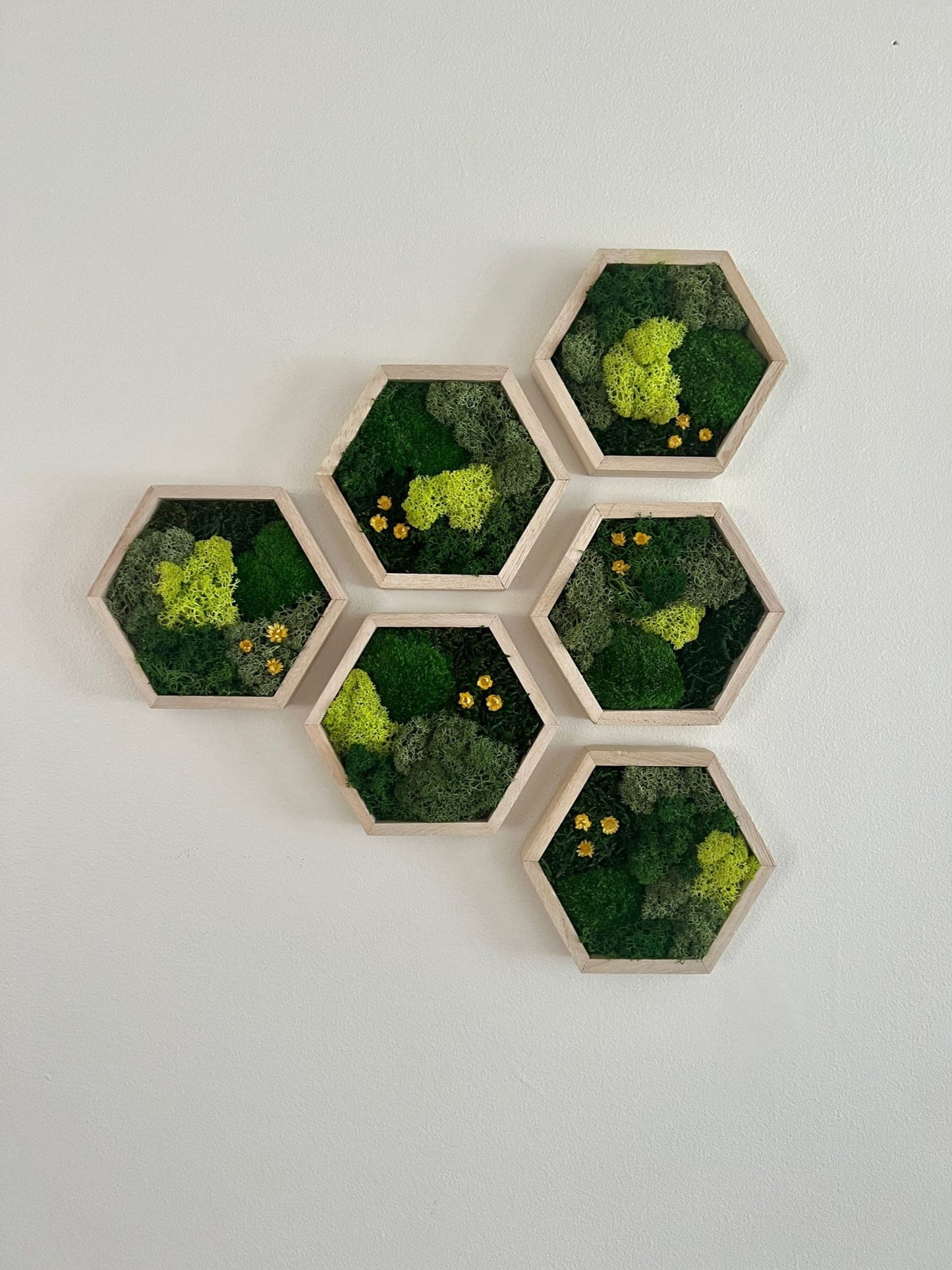 Honeycomb Moss Wall Art: Wood Hexagon with Preserved Flowers | USA - TARIFF FREE