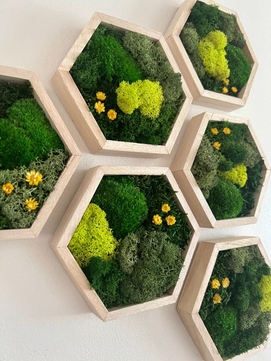 Honeycomb Moss Wall Art: Wood Hexagon with Preserved Flowers | USA - TARIFF FREE