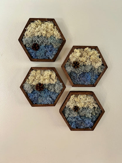 Moss Wall Art | Preserved Reindeer Moss | Wall Decor |  Home Decor | Wood Hexagon | Natural Wall Hanging | Water Ice Snow | Christmas Gift