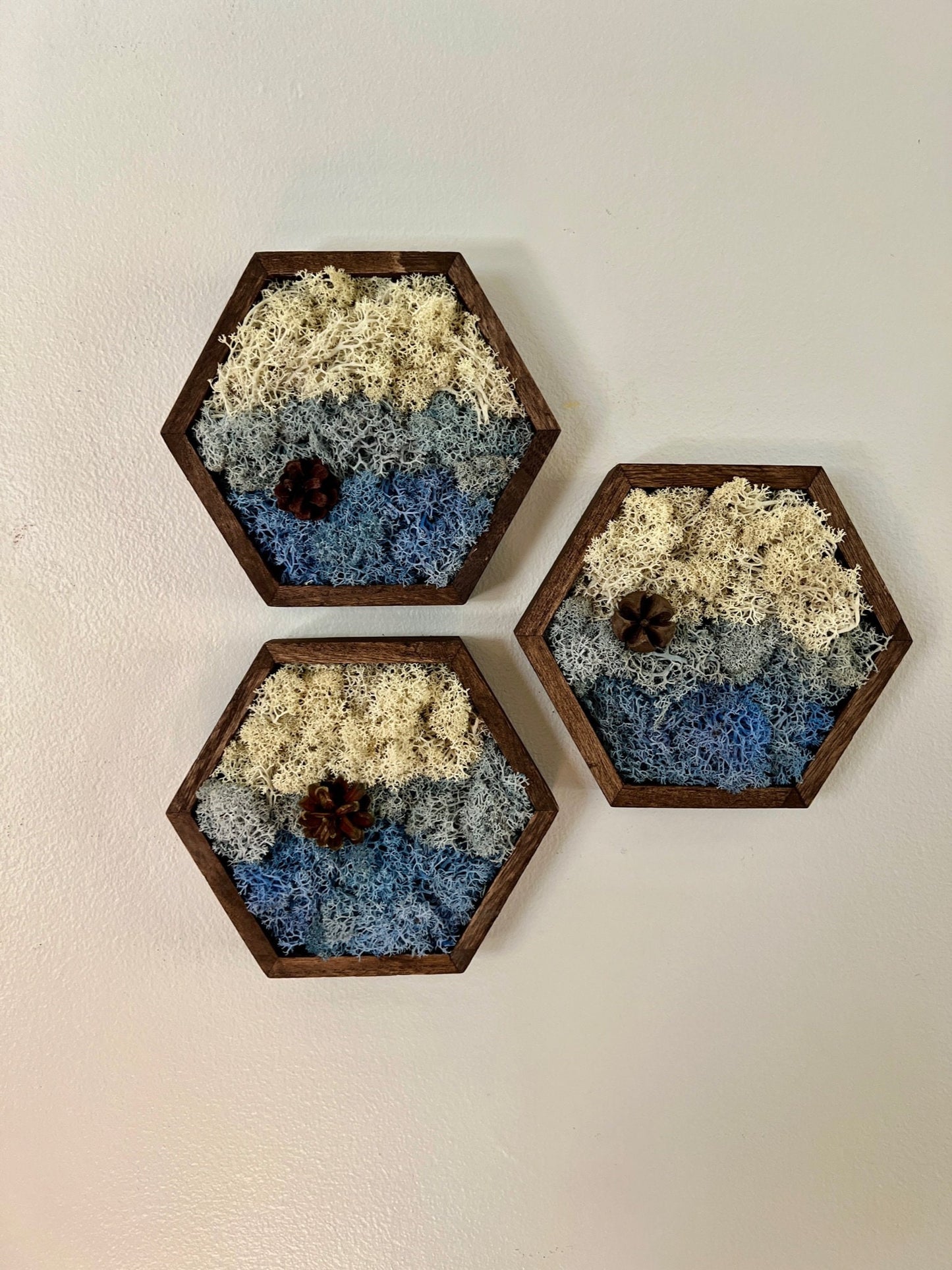 Moss Wall Art | Preserved Reindeer Moss | Wall Decor |  Home Decor | Wood Hexagon | Natural Wall Hanging | Water Ice Snow | Christmas Gift