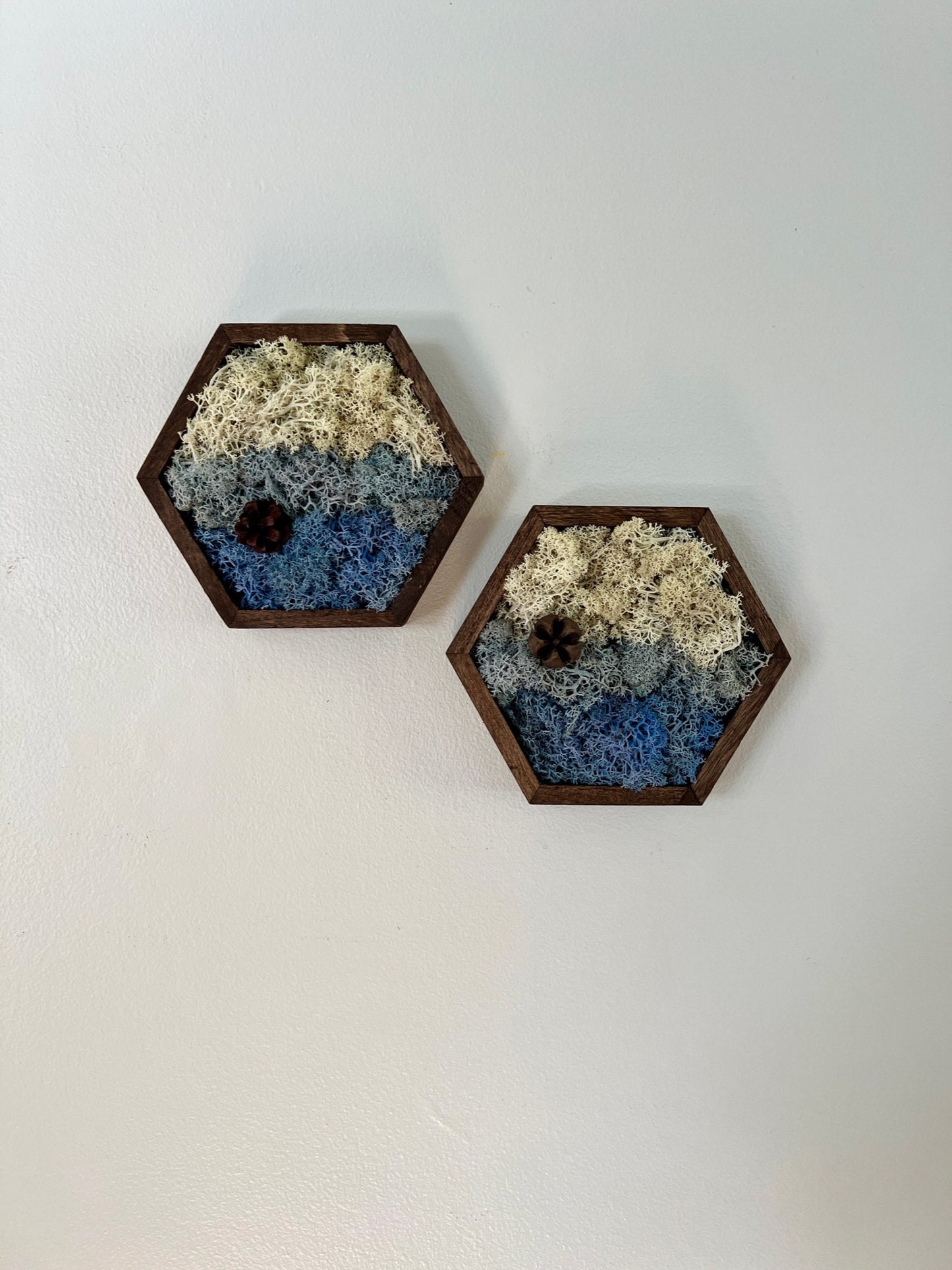 Preserved Reindeer Moss Wall Art: Wood Hexagon Trio | USA - TARIFF FREE