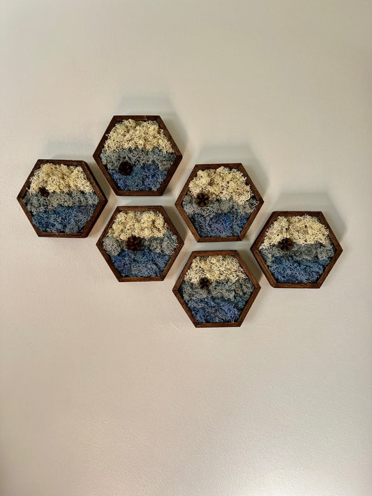 Moss Wall Art | Preserved Reindeer Moss | Wall Decor |  Home Decor | Wood Hexagon | Natural Wall Hanging | Water Ice Snow | Christmas Gift