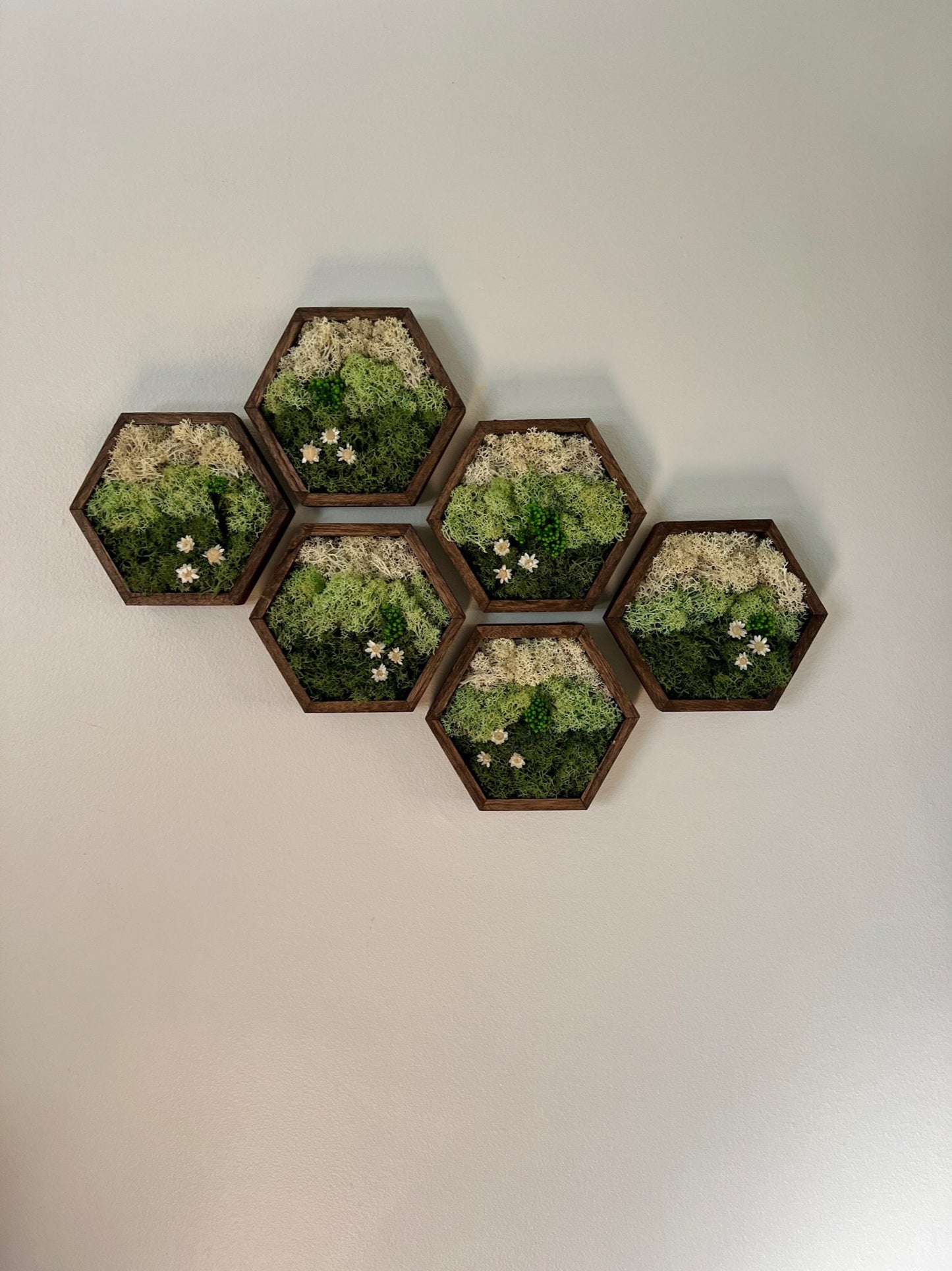 Moss Wall Art | Honeycomb Moss Single to Set of Twelve | Wood Hexagon  | Green Mountains and Clouds | Preserved Flowers | Nature Wall Art