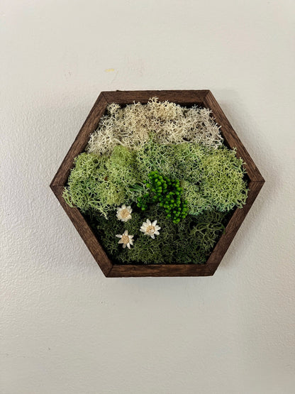 Honeycomb Moss Wall Art: Wood Hexagon Frame with Preserved Reindeer Moss | USA - TARIFF FREE