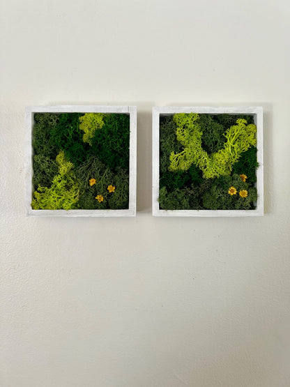 Preserved Reindeer Moss Wall Art: Wood Frame, Natural Home Decor | USA - TARIFF FREE