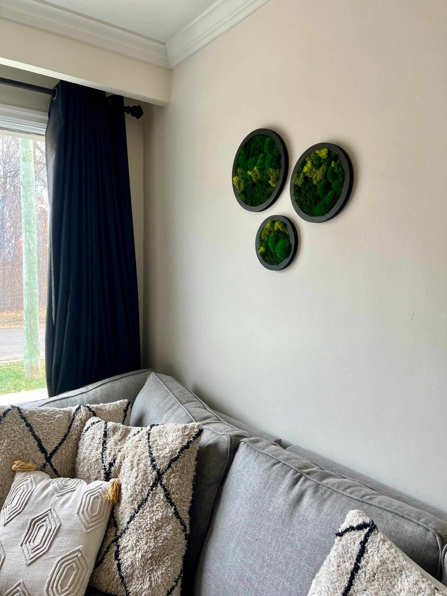 Preserved Reindeer Moss Wall Art: Framed Circle Set | USA - TARIFF FREE