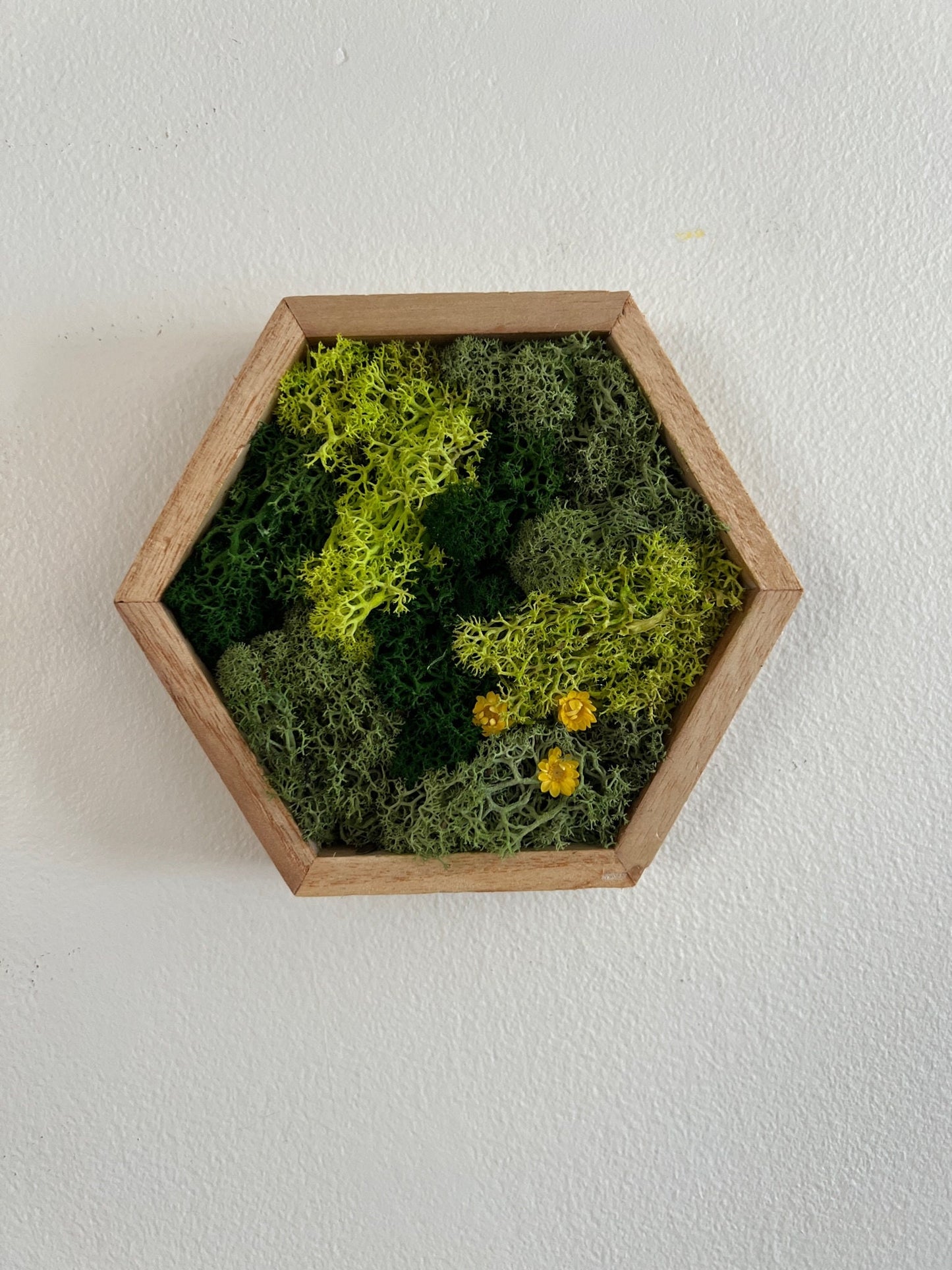 Honeycomb Moss Wall Art: Reindeer Moss & Flowers in Wood Hexagon | USA - TARIFF FREE