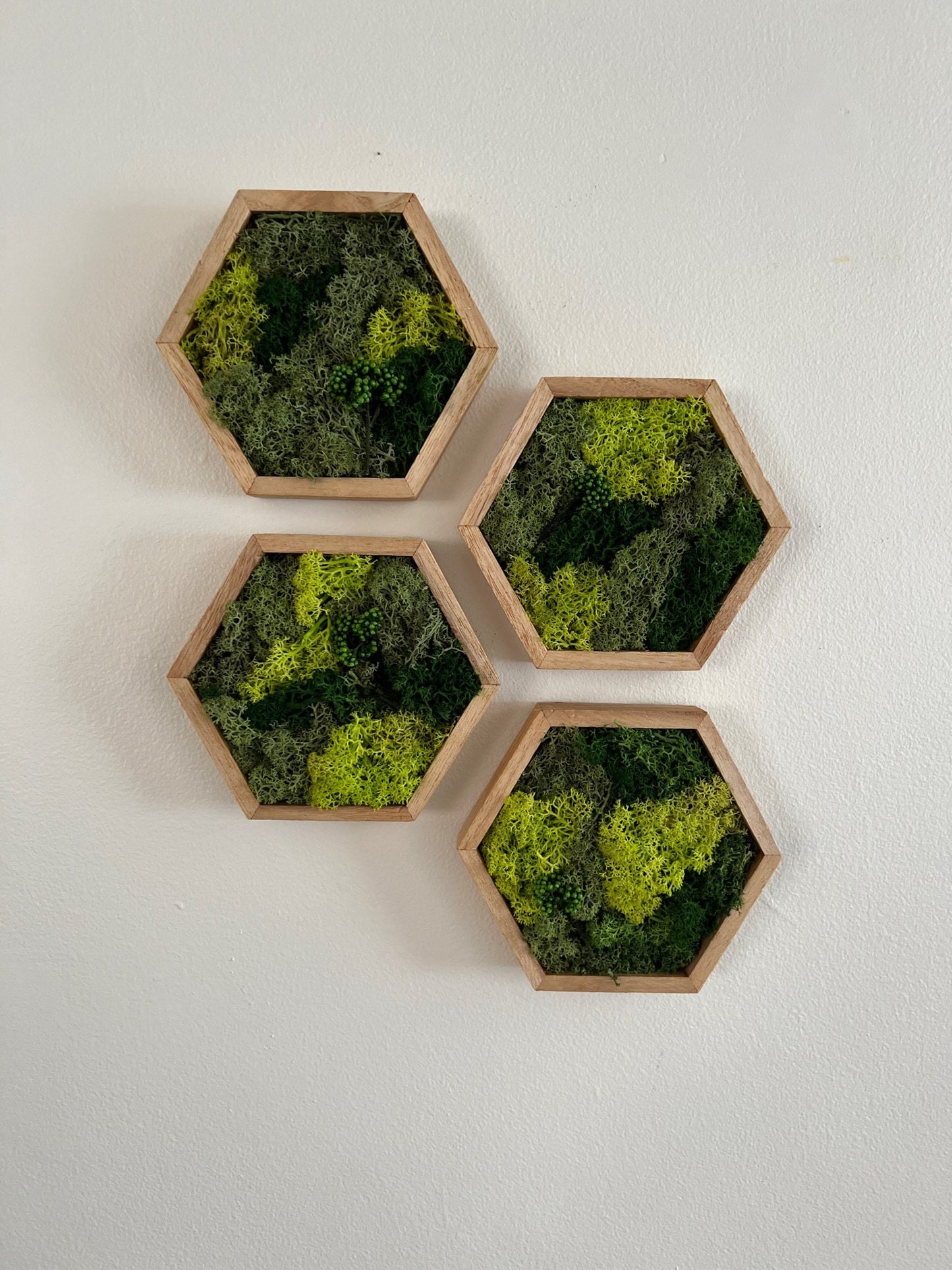 Reindeer Moss Wall Art: Hexagon Wood Frame, Preserved Nature Decor | USA - TARIFF FREE