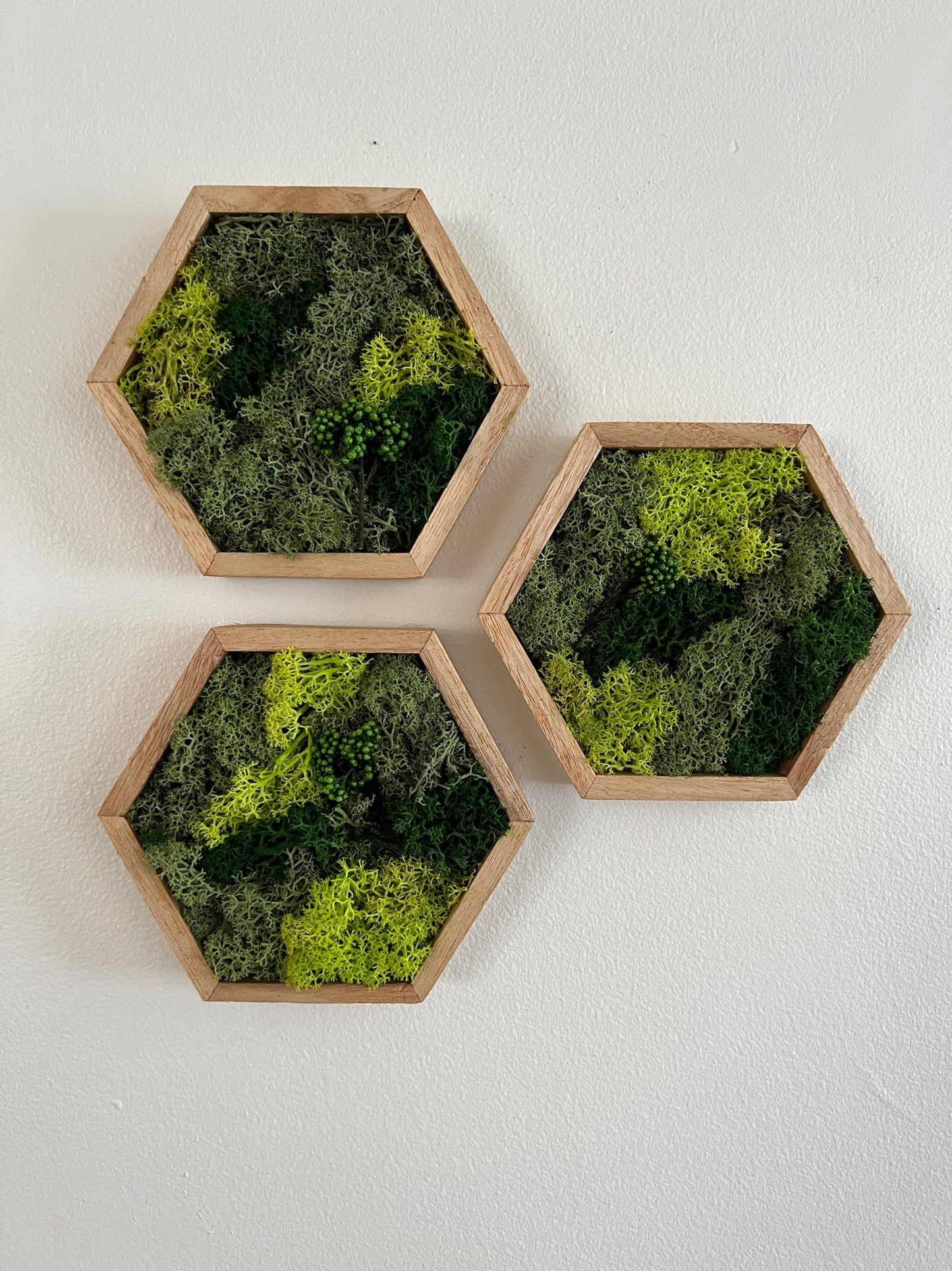 Reindeer Moss Wall Art: Hexagon Wood Frame, Preserved Nature Decor | USA - TARIFF FREE
