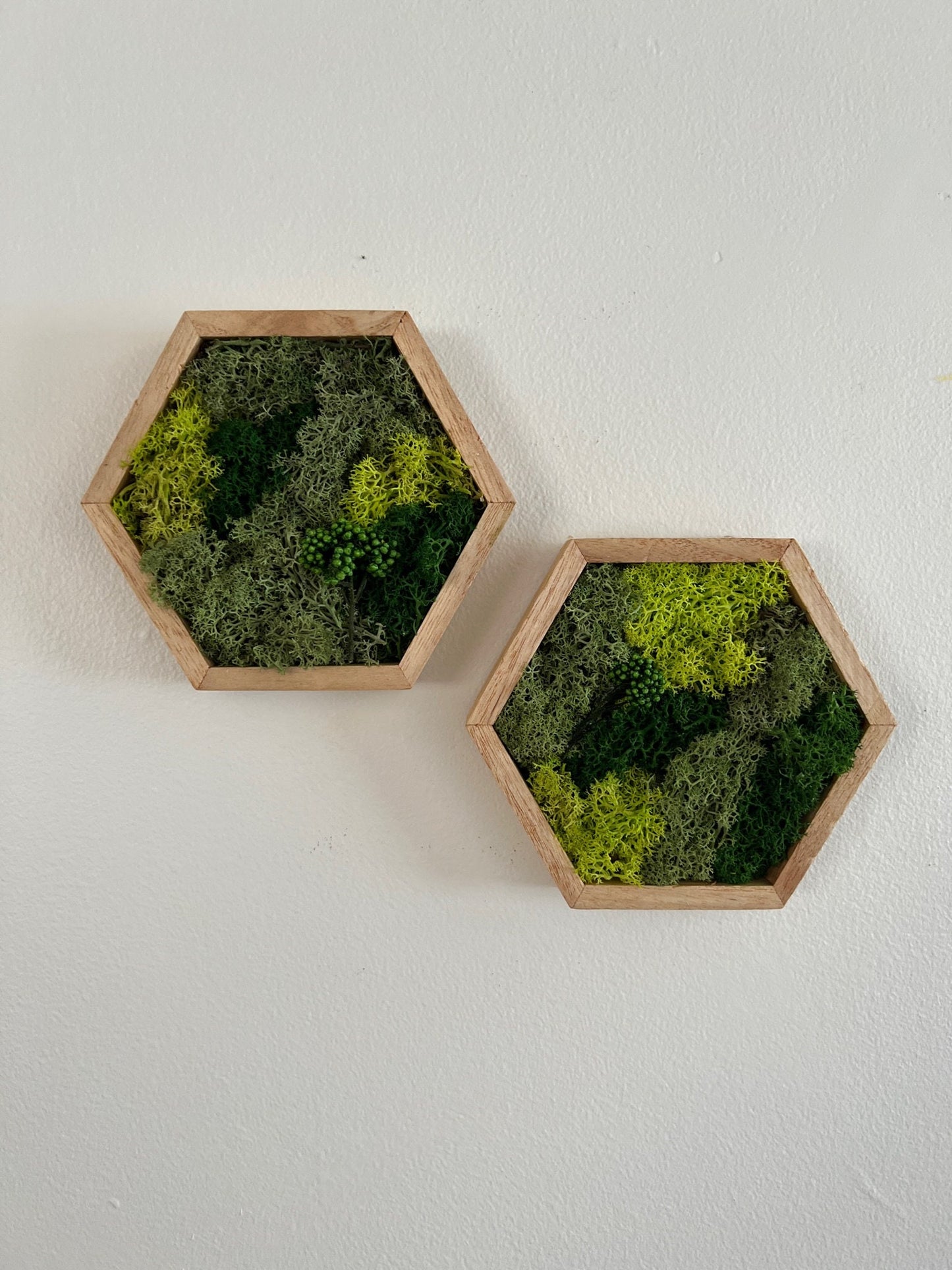 Reindeer Moss Wall Art: Hexagon Wood Frame, Preserved Nature Decor | USA - TARIFF FREE