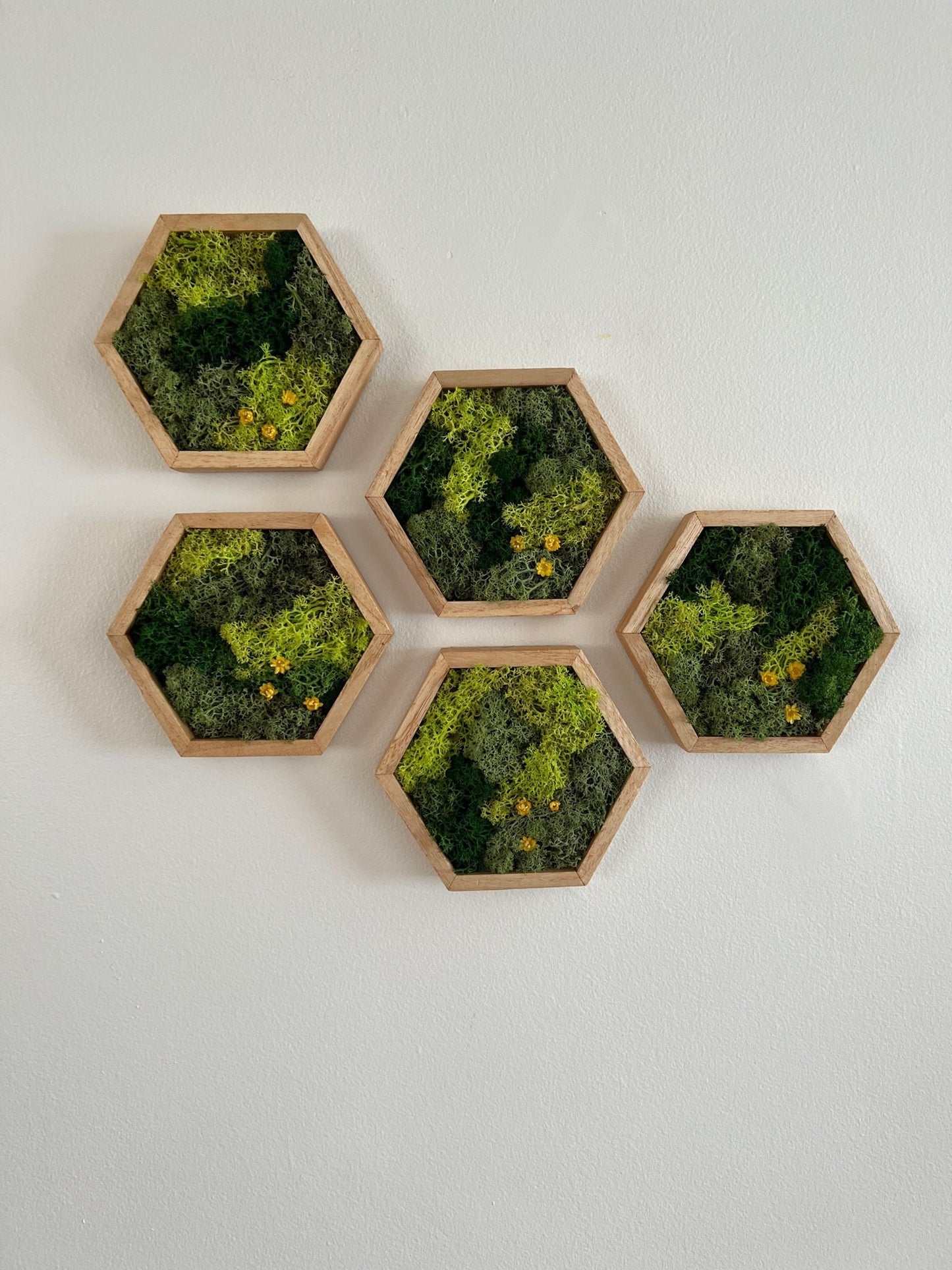 Honeycomb Moss Wall Art: Reindeer Moss & Flowers in Wood Hexagon | USA - TARIFF FREE