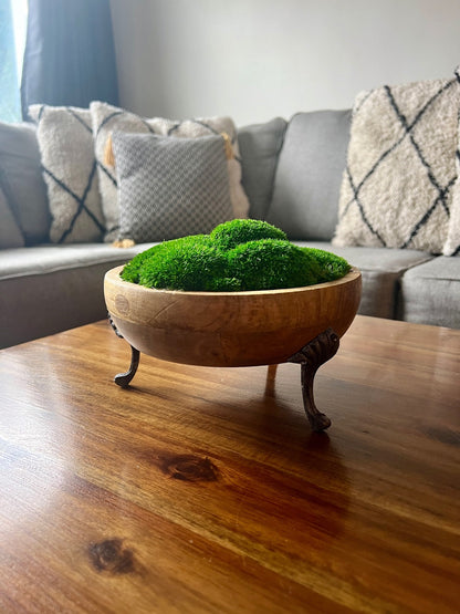 Preserved Moss Centerpiece: Reindeer & Pole Moss in Wood Bowl | USA - TARIFF FREE