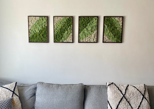 Preserved Moss Wall Art: Rectangle Wood Frame, Green & White | USA - TARIFF FREE