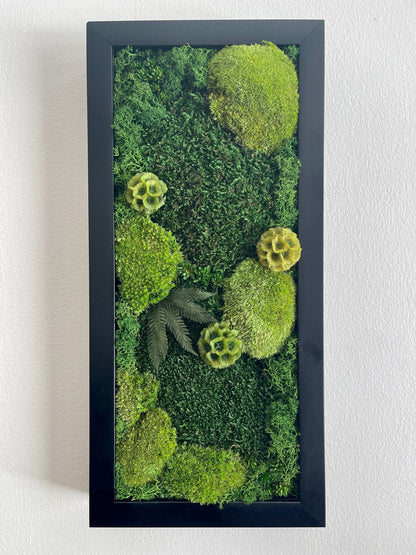 Preserved Moss Wall Art: Black Frame, Reindeer Moss & Flowers | USA - TARIFF FREE
