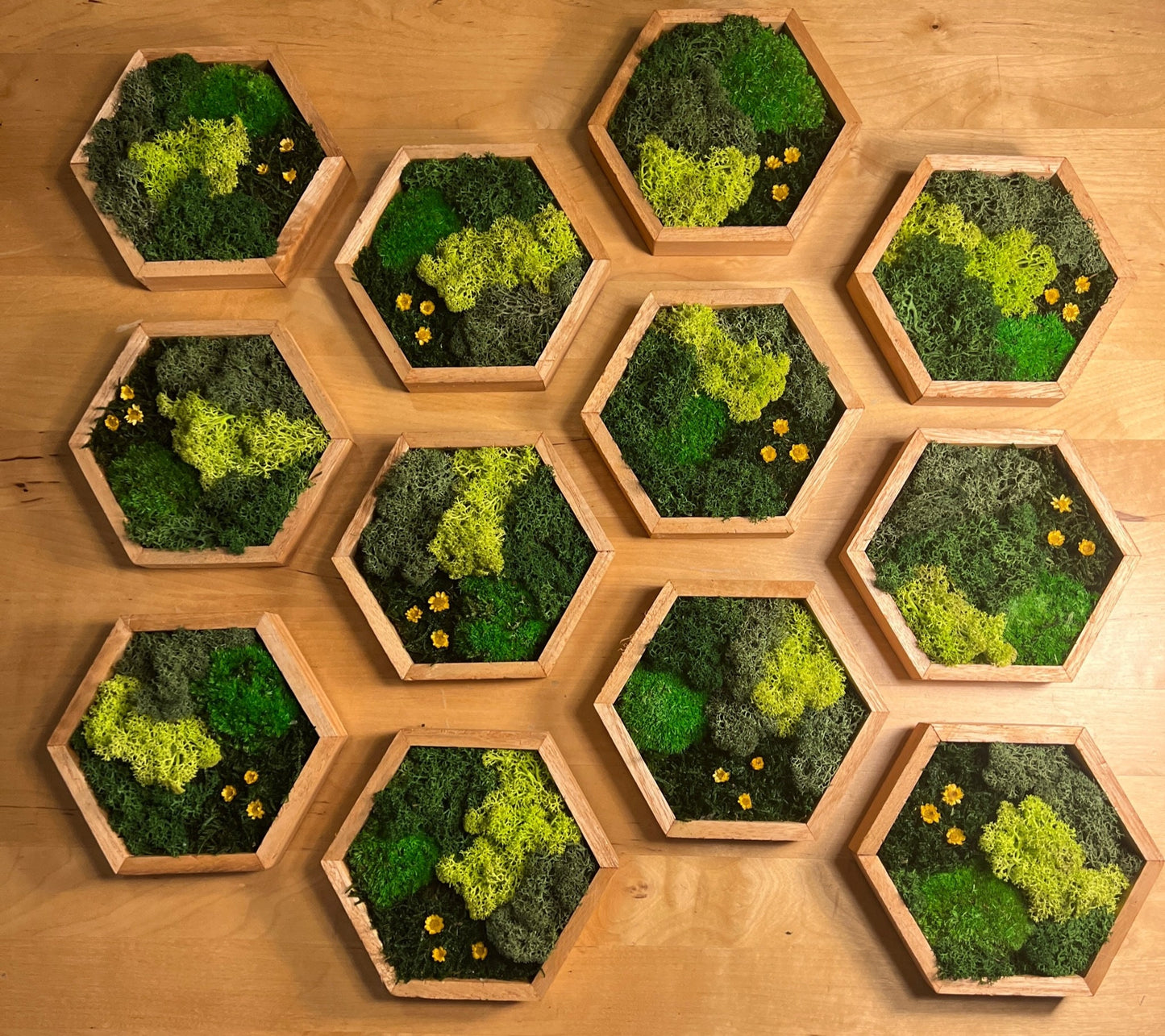 Honeycomb Moss Wall Art: Wood Hexagon with Reindeer Moss & Yellow Flowers | USA - TARIFF FREE