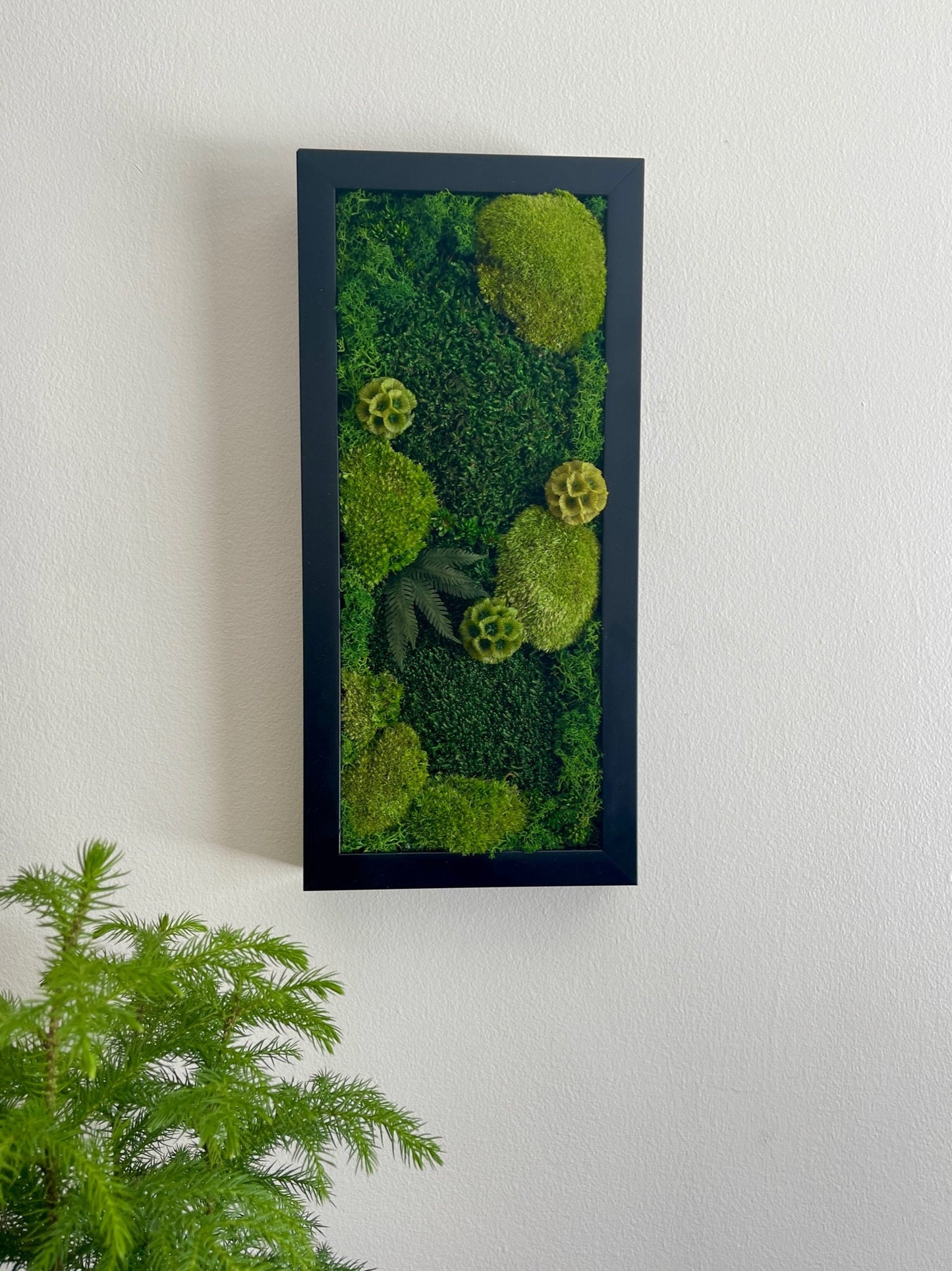 Preserved Moss Wall Art: Black Frame, Reindeer Moss & Flowers | USA - TARIFF FREE