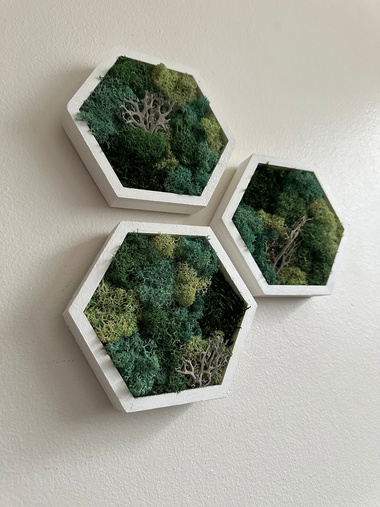 Moss Wall Art | |Honeycomb Moss Decor | Single to Set of Twelve | Wood Hexagon  | Reindeer Moss | Sheet Moss  | Green & Turquoise