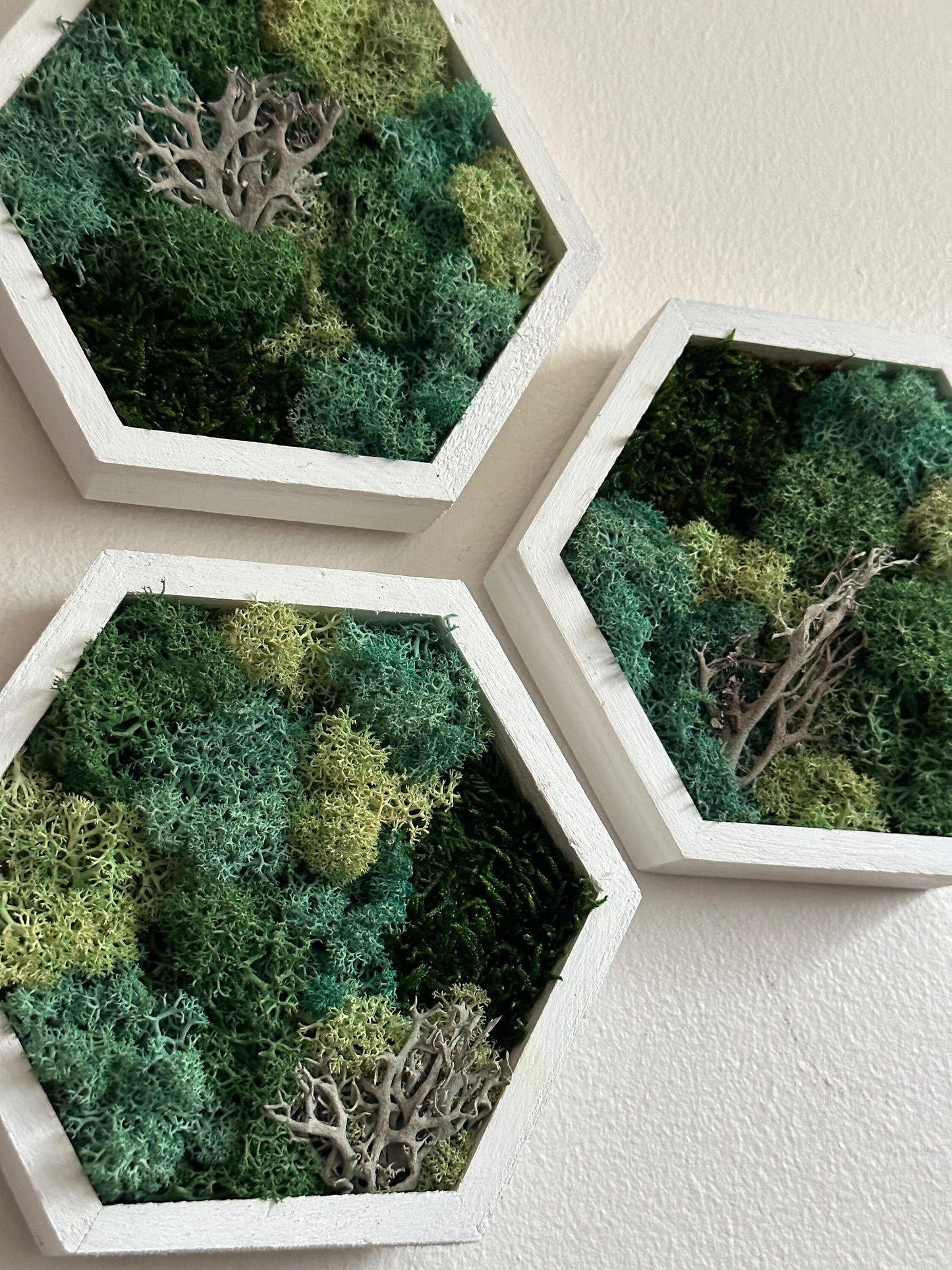 Moss Wall Art | |Honeycomb Moss Decor | Single to Set of Twelve | Wood Hexagon  | Reindeer Moss | Sheet Moss  | Green & Turquoise