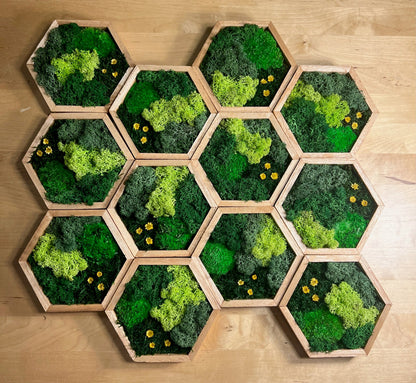 Honeycomb Moss Wall Art: Wood Hexagon with Reindeer Moss & Yellow Flowers | USA - TARIFF FREE