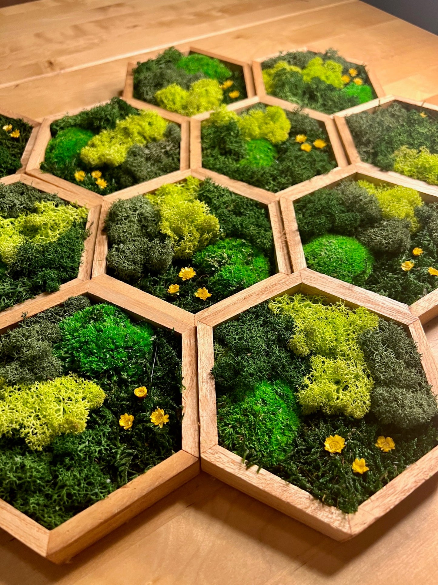 Honeycomb Moss Wall Art: Wood Hexagon with Reindeer Moss & Yellow Flowers | USA - TARIFF FREE