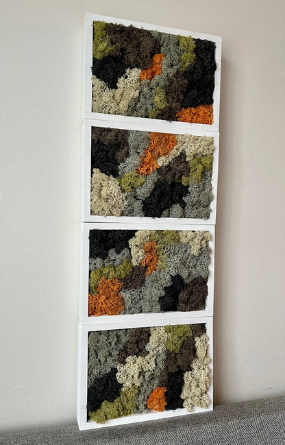 Preserved Reindeer Moss Wall Art: Rectangle Frame, Natural Home Decor | USA - TARIFF FREE