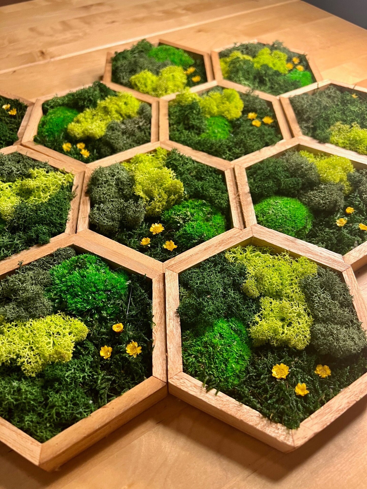 Honeycomb Moss Wall Art: Wood Hexagon with Reindeer Moss & Yellow Flowers | USA - TARIFF FREE