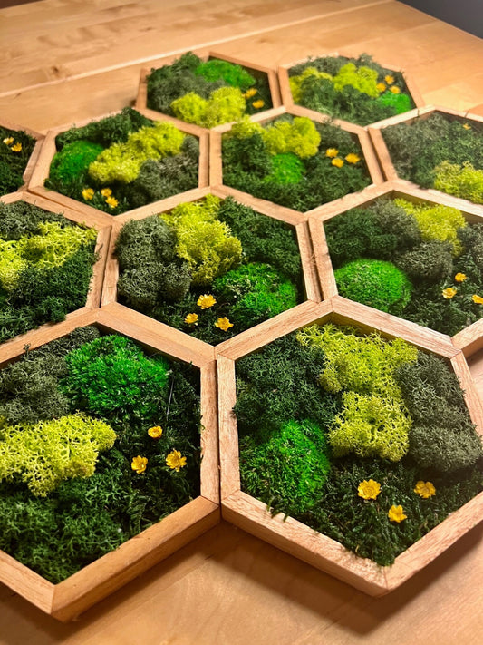 Honeycomb Moss Wall Art: Wood Hexagon with Reindeer Moss & Yellow Flowers | USA - TARIFF FREE