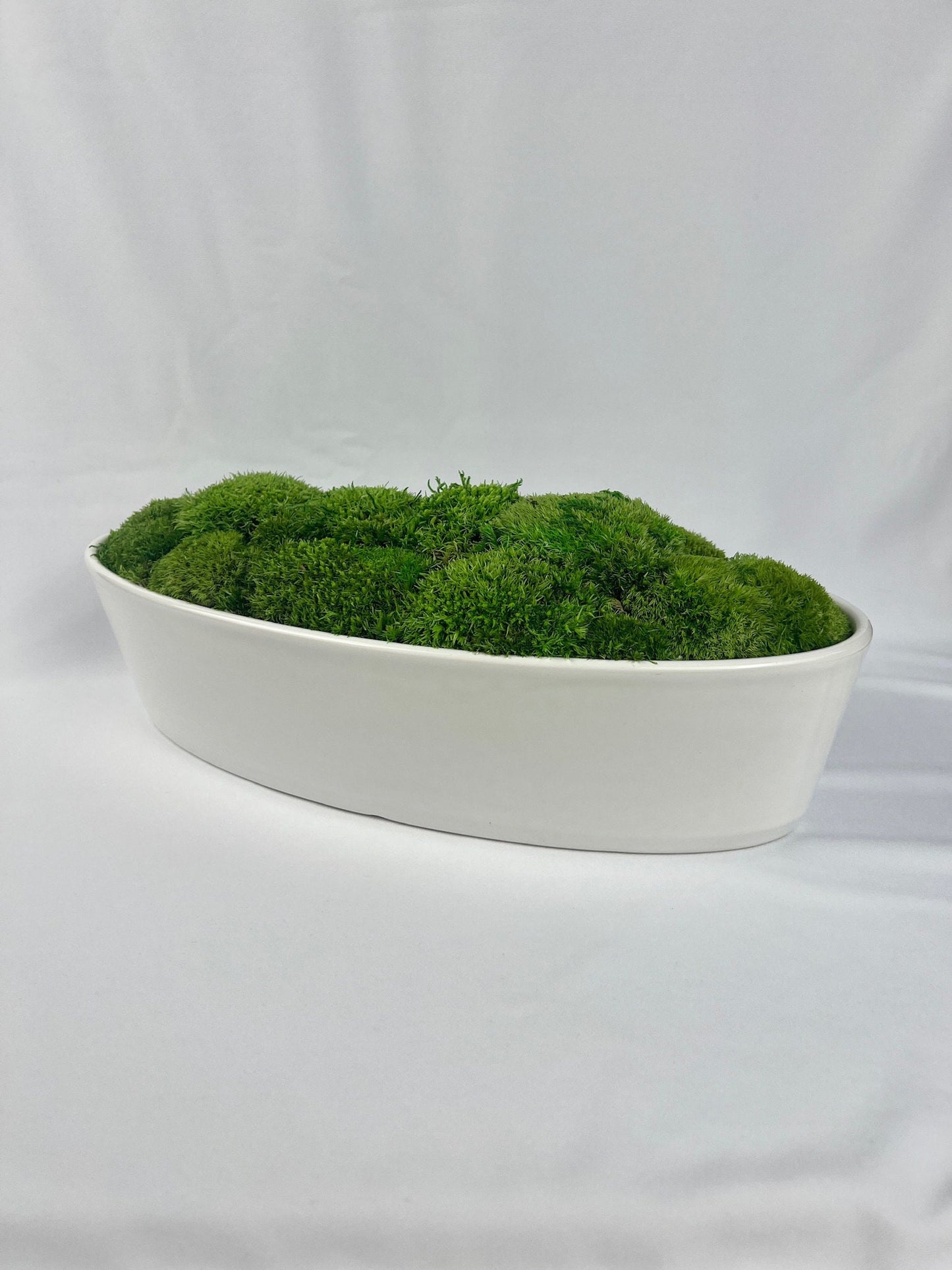 Preserved Moss Centerpiece: Reindeer & Pole Moss in Ceramic Bowl | USA - TARIFF FREE