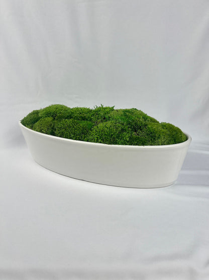 Preserved Moss Centerpiece: Reindeer & Pole Moss in Ceramic Bowl | USA - TARIFF FREE