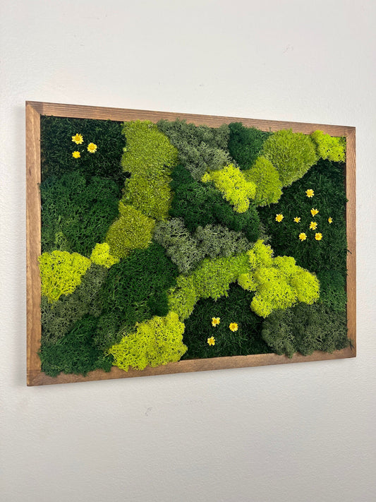 Moss Wall Art | Preserved Moss Framed | Moss Wall Decor | Rectangle Frame | Sheet Moss Pole Moss and  Reindeer Moss